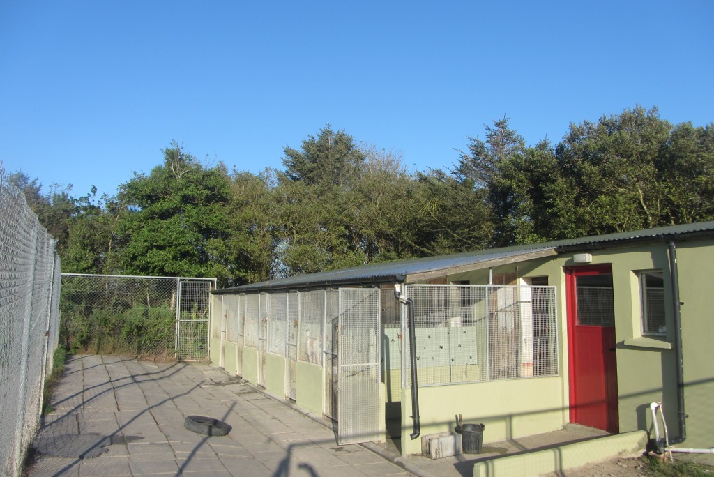 About Us West Cork Animals